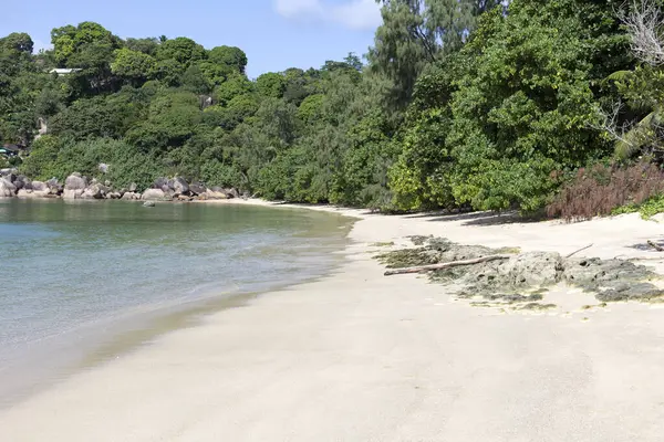 Une Plage Aux Seychelles Paradis Tropical — Photo