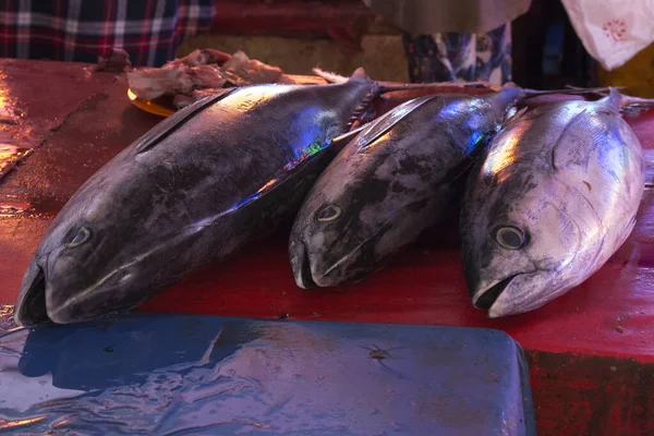 Peces Atún Vendidos Mercado Rural Indonesia —  Fotos de Stock