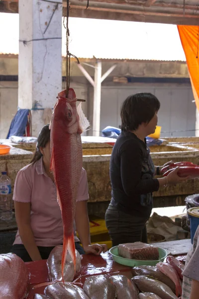 Tomohon Ινδονησία Αυγούστου 2017 Άνθρωποι Στην Αγορά Ψαριών Στο Tomohon — Φωτογραφία Αρχείου