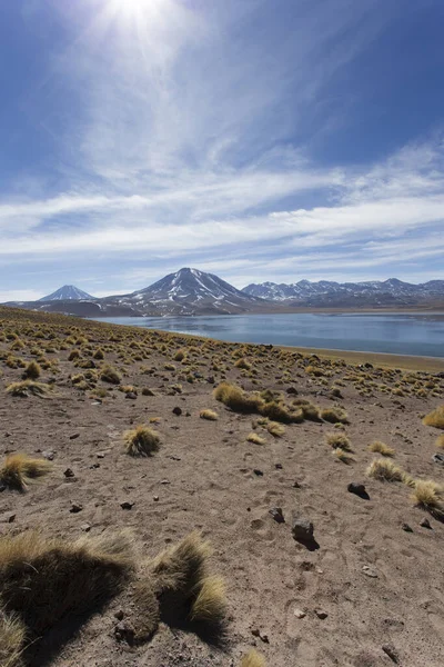 チリ北部のミスカンティ ラグーンの風景 — ストック写真