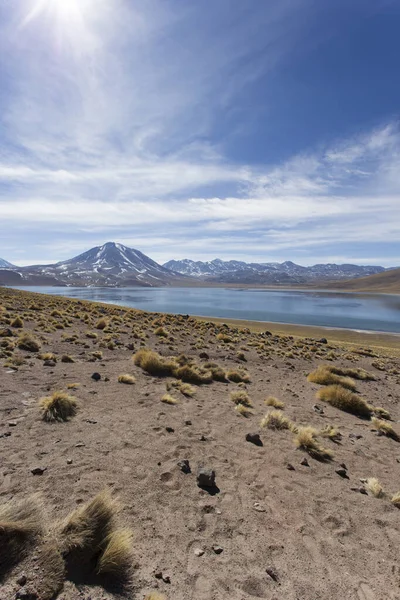 Пейзаж Лагуны Мисканти Севере Чили — стоковое фото