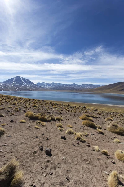 Landskap Miscanti Lagunen Norra Chile — Stockfoto