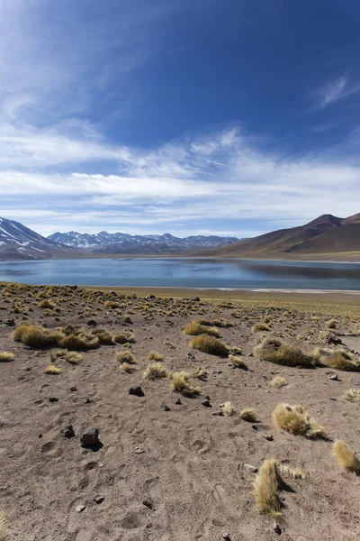 Landschap Van Miscanti Lagune Noord Chili — Stockfoto