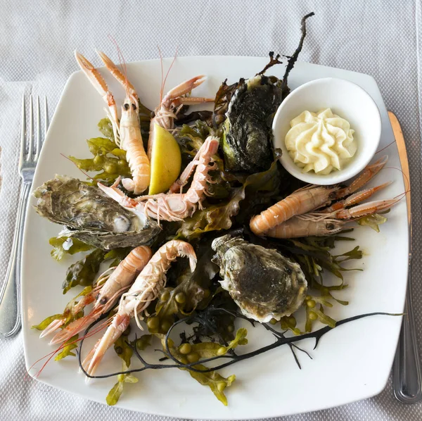 Well Presented Raw Seafood Plate Italy — Stock Photo, Image