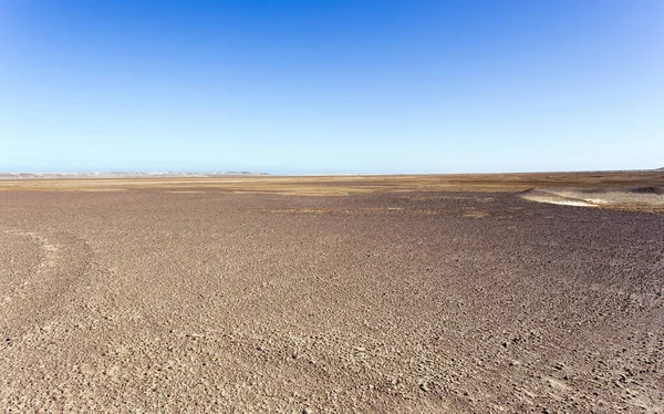 Esqueleto Costa Deserto Solours Desolação Namíbia — Fotografia de Stock