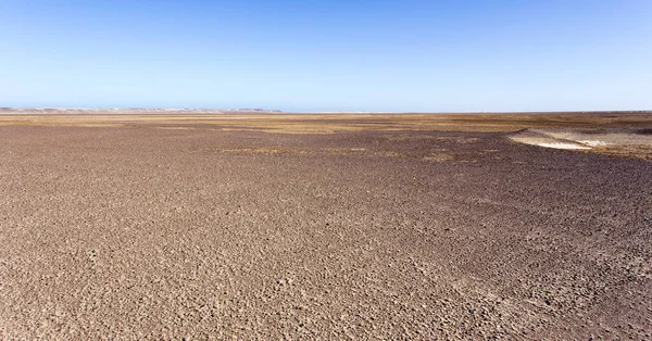Скелет Побережья Пустыни Солуров Запустения Намибия — стоковое фото