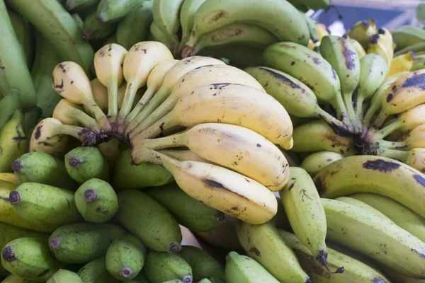Manojos Plátano Mercado Seychelles —  Fotos de Stock