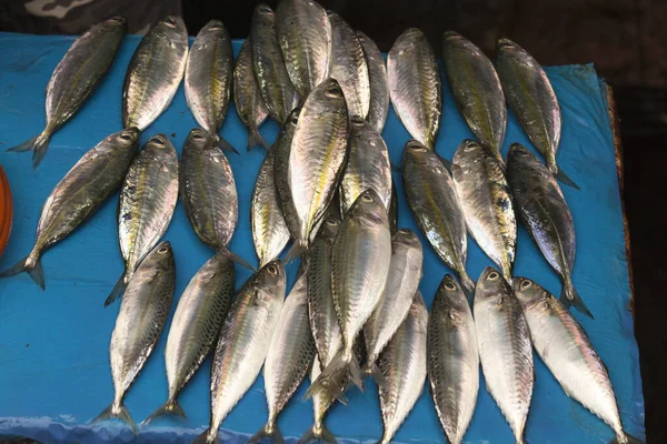 Muitos Peixes Vendidos Mercado Sulawesi Norte Indonésia — Fotografia de Stock