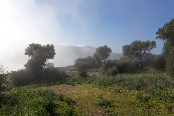 Beautiful Country Landscape Sardinia Italy — Stock Photo, Image