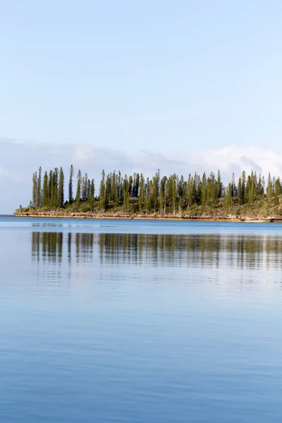 Paesaggio Marino Verticale Ile Des Pins Nuova Caledonia — Foto Stock