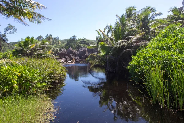 塞舌尔岛上的热带景观 — 图库照片