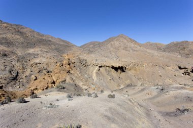 Pan de Azucar Ulusal Parkı 'nda yürüyüş, Şili