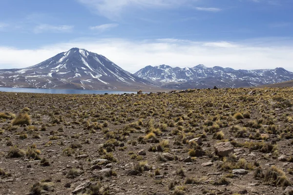 Landschap Aan Het Miscanti Meer Het Noorden Van Chili — Stockfoto