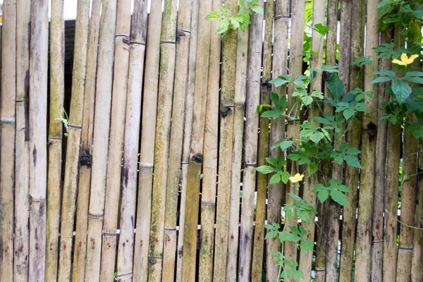 Endonezya Daki Harap Bir Bambu Duvarının Fotoğrafı — Stok fotoğraf