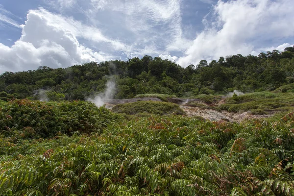 Działalność Geotermalna Parku Północnym Sulawesi Indonezja — Zdjęcie stockowe