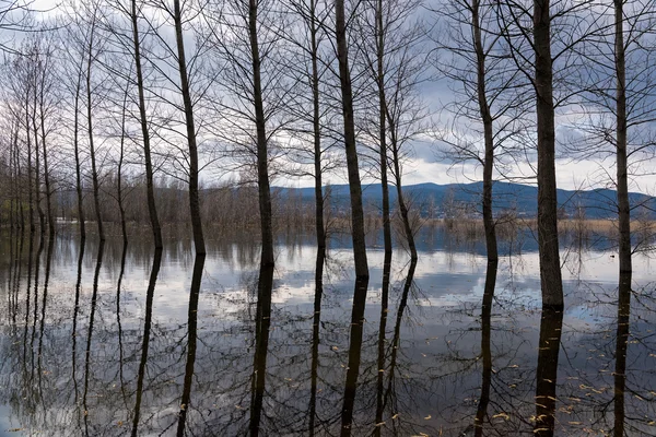 See in Griechenland — Stockfoto