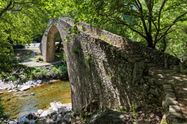 Taş köprü Pyli köyünü Thessaly, Yunanistan