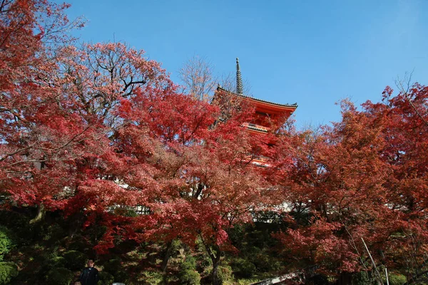 京都;日本-2017年11月25日: 清水研究寺 — 图库照片