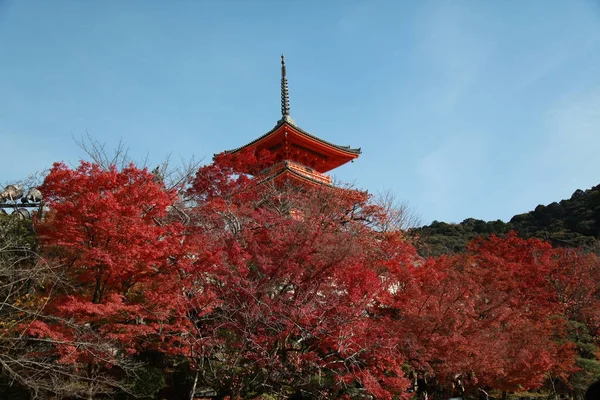 京都;日本-2017年11月25日: 清水研究寺 — 图库照片