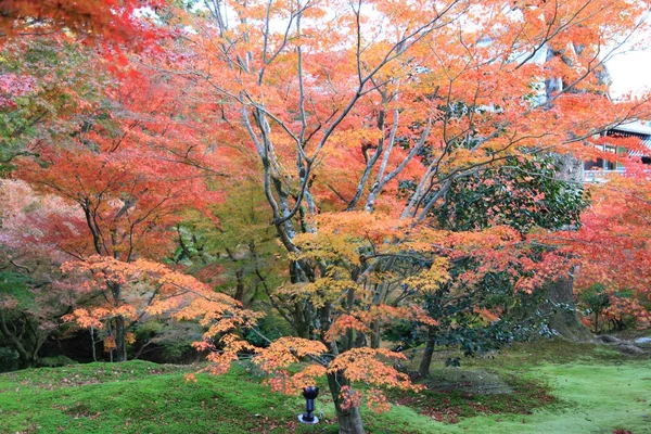 Las Hojas el cambio de color en el templo tofukuji en kyoto en Japón — Foto de Stock