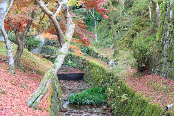 A cor de folhas modifica-se no templo de tofukuji em kyoto no Japão — Fotografia de Stock