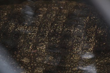 tuz timsah derisi su altında