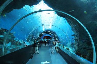 Singapur - 13 Nisan 2016: S.E.A Aqua tanımlanamayan ziyaretçi