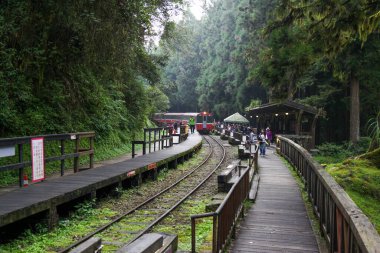Alishan, Tayvan-14 Ekim 2018: Sisli bir günde Alishan Dağı, Tayvan 'daki alishan tren istasyonunda kırmızı tren durağı.
