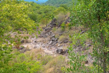 Tayland 'daki doğa ormanındaki kaya geçidi.