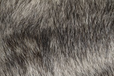 Desen ve arkaplan için gri köpek derisini kapat