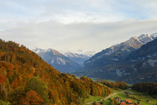 Вид Ландшафт Деревенская Деревня Природе Окружающей Среде Swiss — стоковое фото