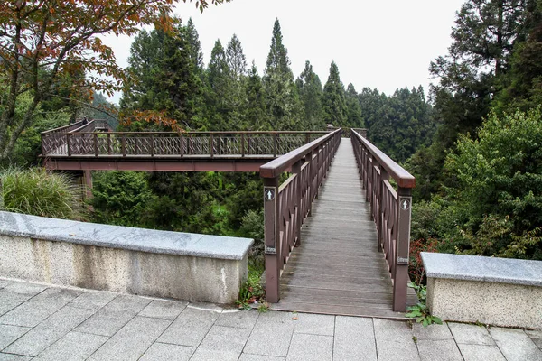 Drewniane Niebo Chodnik Alishan Rodaku Park Taiwan — Zdjęcie stockowe