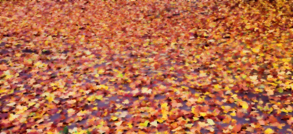 Spadły liście na podłogę — Zdjęcie stockowe