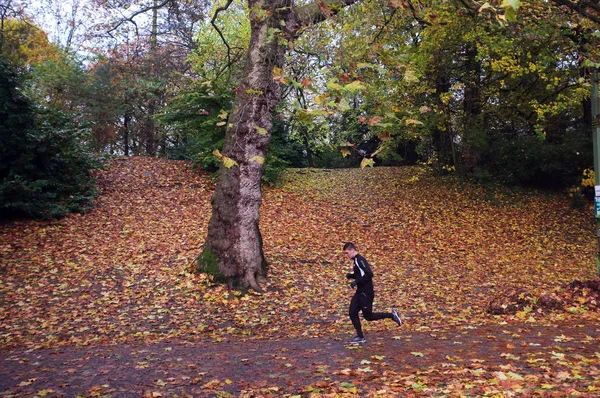 Człowiek, jogging w lesie — Zdjęcie stockowe