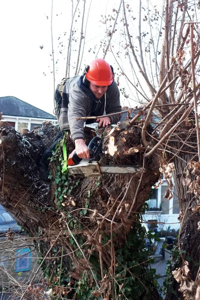 Ouvrier coupe des branches d'arbres — Photo