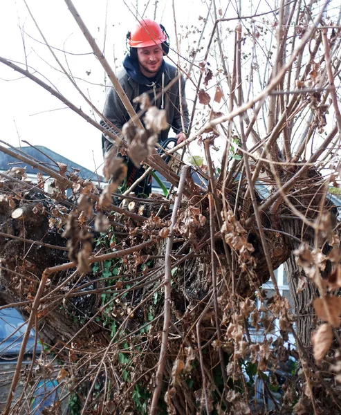 Ouvrier coupe des branches d'arbres — Photo