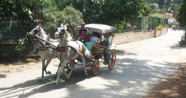 Turistler at arabası ile seyahat
