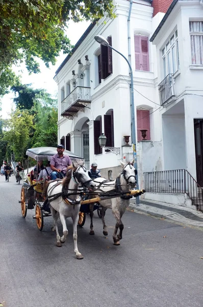 Turistas viajam com carroça de cavalo — Fotografia de Stock