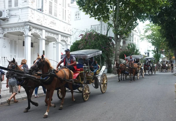 Turistas viajam com carroça de cavalo — Fotografia de Stock