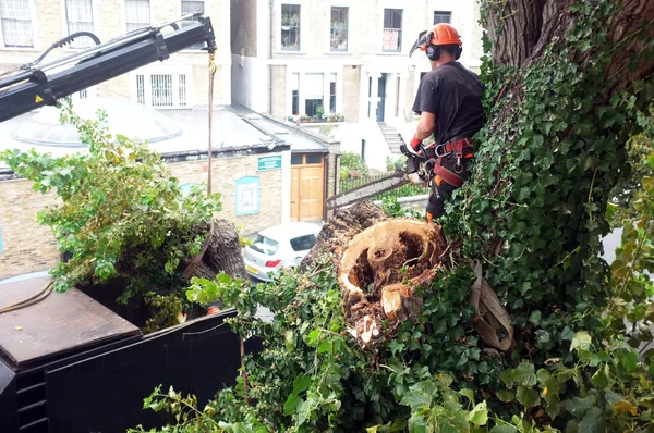Travailleur coupe des branches d'arbre avec une tronçonneuse — Photo