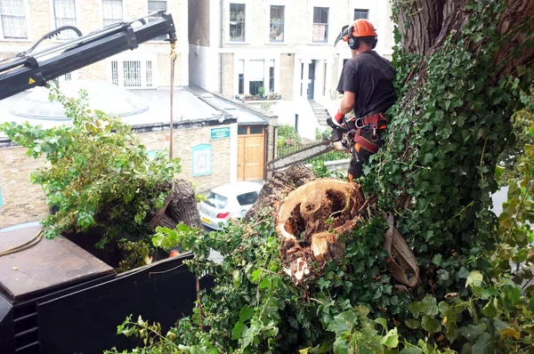 Trabajador corta ramas de árboles con una motosierra — Foto de Stock