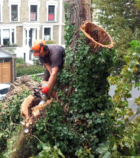 Travailleur coupe des branches d'arbre avec une tronçonneuse — Photo