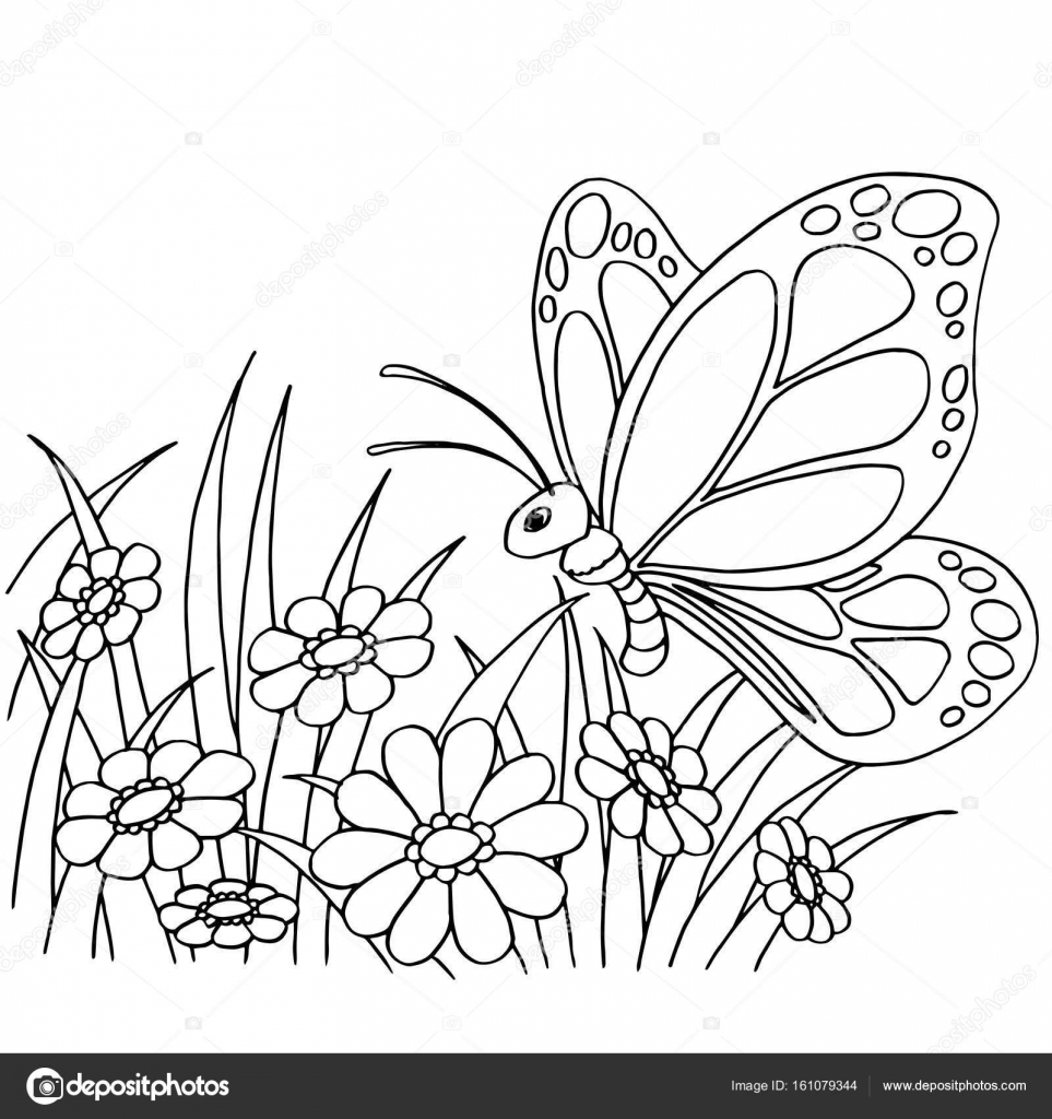 desenhos de flores para colorir  Flower coloring pages, Rose coloring  pages, Butterfly coloring page