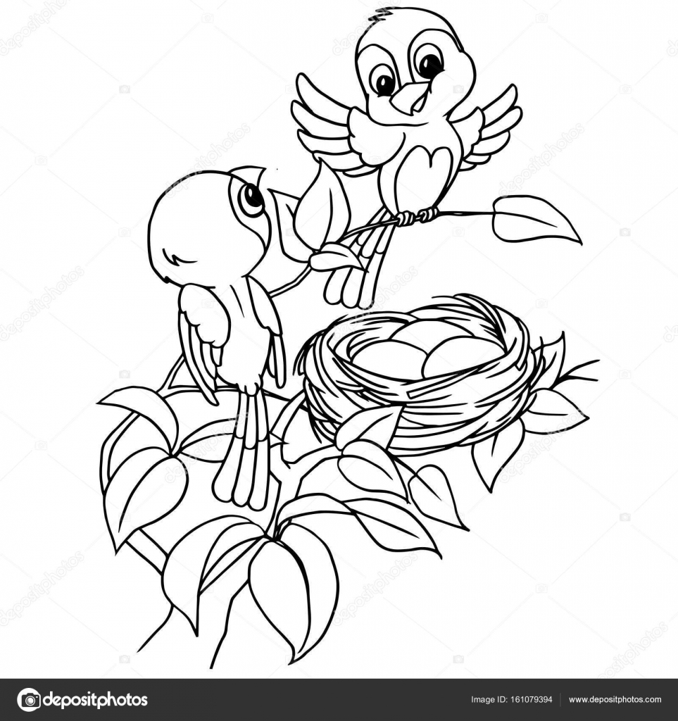 Cartoon Vogel Ei In Het Nest Kleurplaat Pagina Vector Stockvector