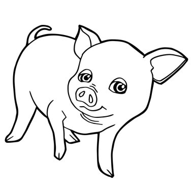 çizgi film sevimli domuz sayfa vektör boyama.