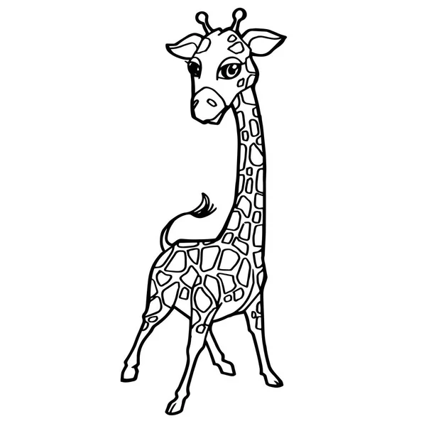 Dessin animé girafe mignon coloriage vecteur . — Image vectorielle