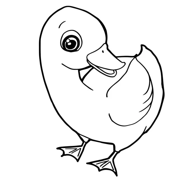 Cartoon cute duck coloring page vector. — Stock Vector