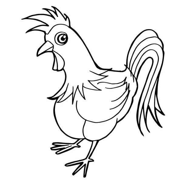 Dibujos animados lindo gallo para colorear página vector . — Archivo Imágenes Vectoriales