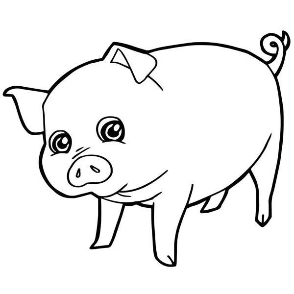 Cartoon cute pig coloring page vector. — Stock Vector