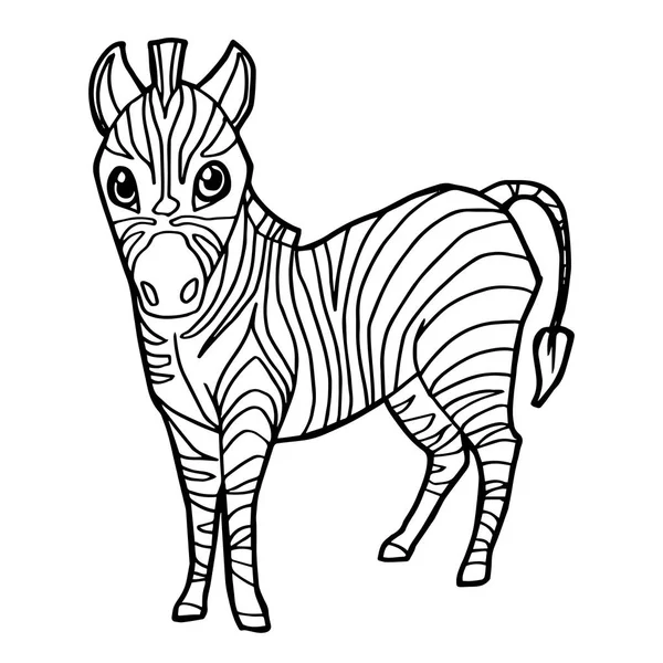 Kreslený roztomilá zebra omalovánky stránky vektor. — Stockový vektor